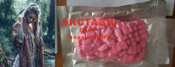 стаф Алексин