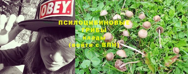 кокс Надым